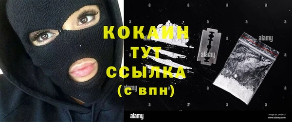 спиды Богородицк