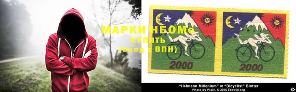 шишки Богородск