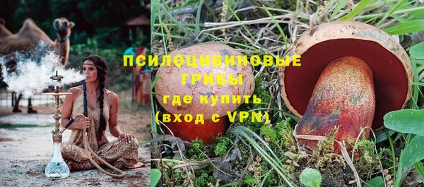 шишки Богородск