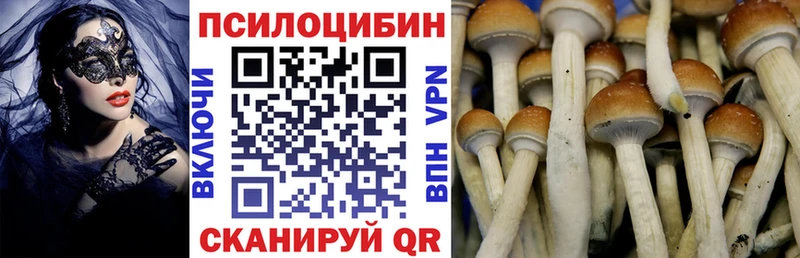 Псилоцибиновые грибы мухоморы Армавир