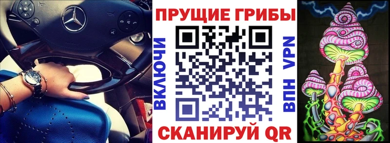 наркота  Армавир  это телеграм  Галлюциногенные грибы Psilocybine cubensis 