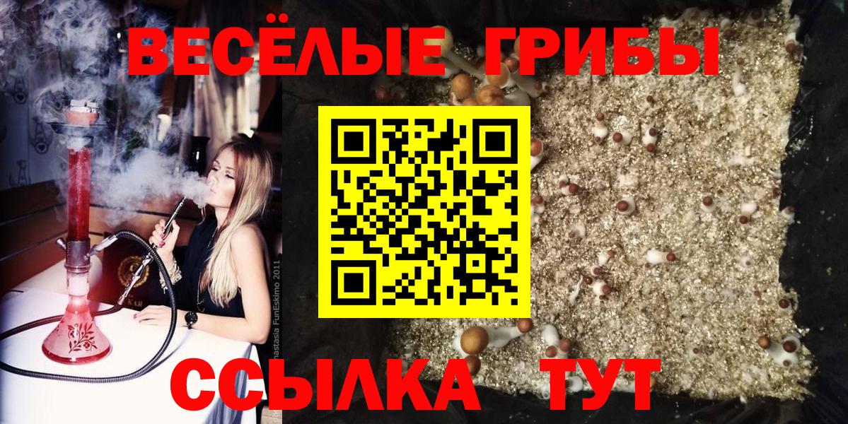 Галлюциногенные грибы GOLDEN TEACHER  купить наркотик  Псилоцибиновые грибы Psilocybine cubensis  Армавир  Вход с VPN 